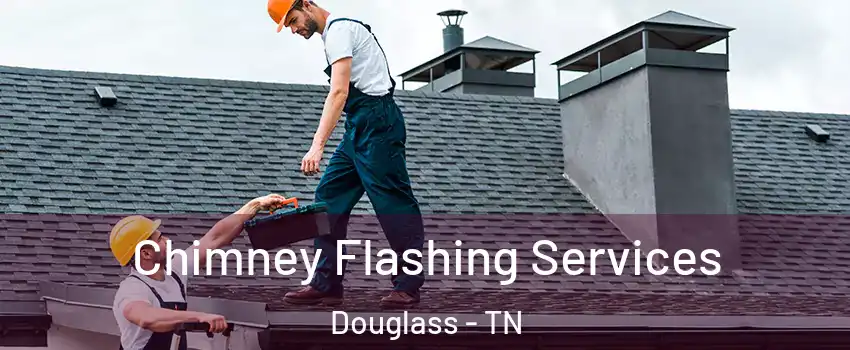 Chimney Flashing Services Douglass - TN