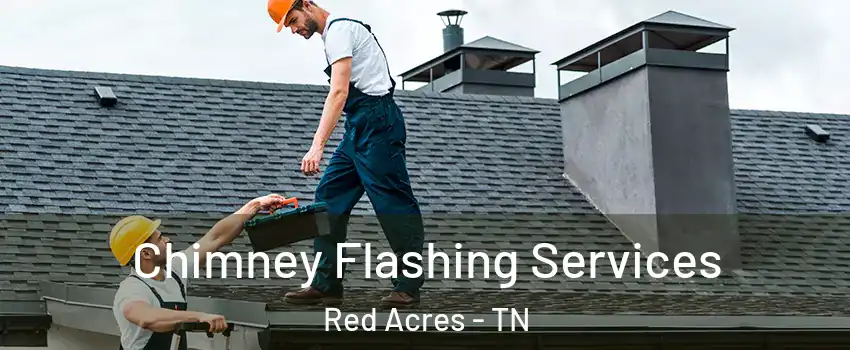 Chimney Flashing Services Red Acres - TN