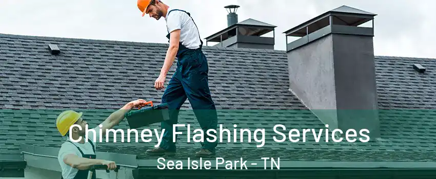 Chimney Flashing Services Sea Isle Park - TN