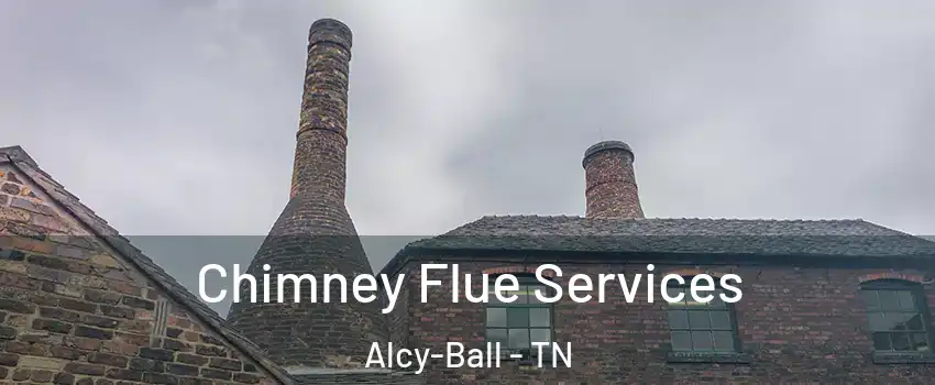 Chimney Flue Services Alcy-Ball - TN