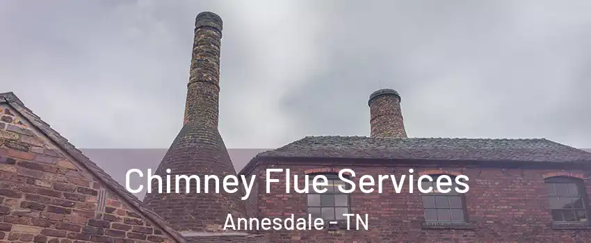 Chimney Flue Services Annesdale - TN