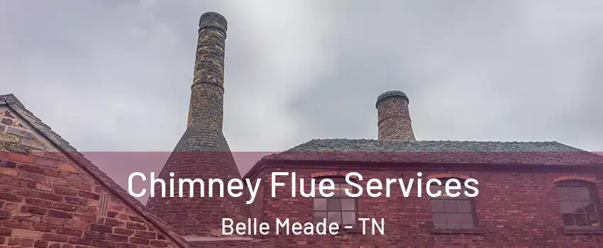 Chimney Flue Services Belle Meade - TN