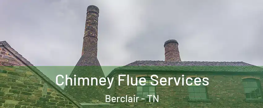 Chimney Flue Services Berclair - TN