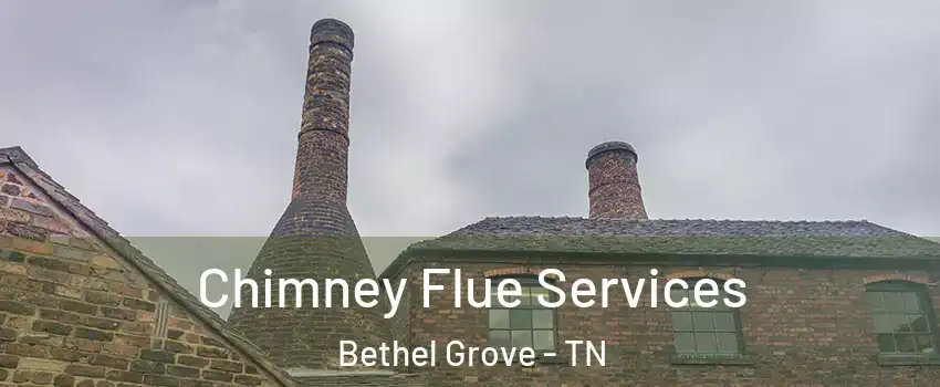 Chimney Flue Services Bethel Grove - TN