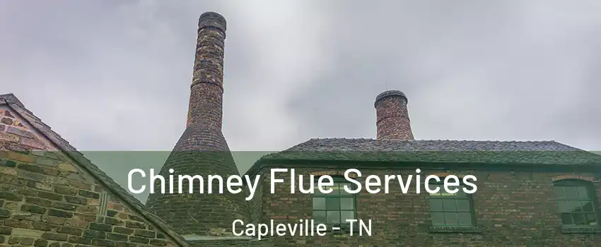 Chimney Flue Services Capleville - TN