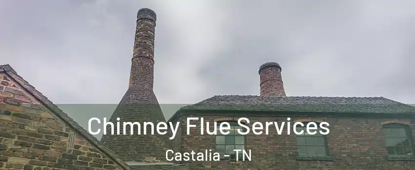 Chimney Flue Services Castalia - TN