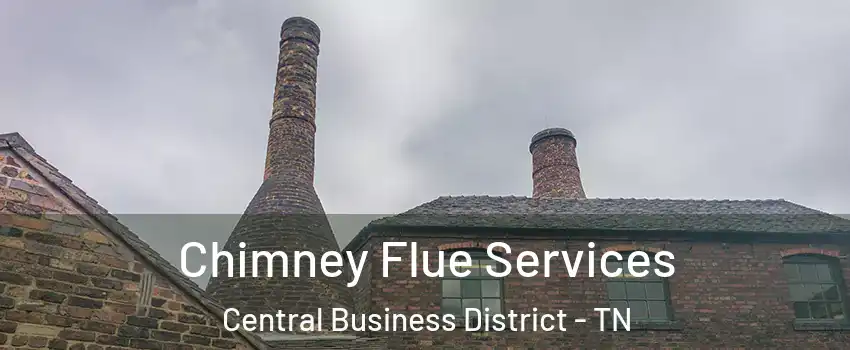 Chimney Flue Services Central Business District - TN