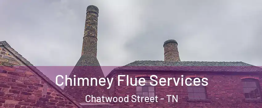 Chimney Flue Services Chatwood Street - TN