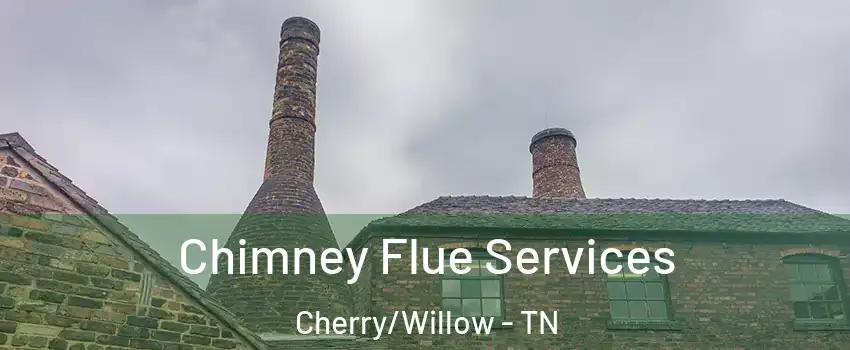 Chimney Flue Services Cherry/Willow - TN