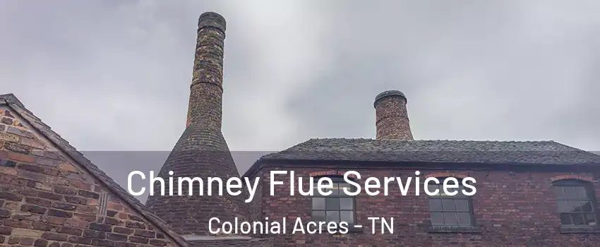 Chimney Flue Services Colonial Acres - TN