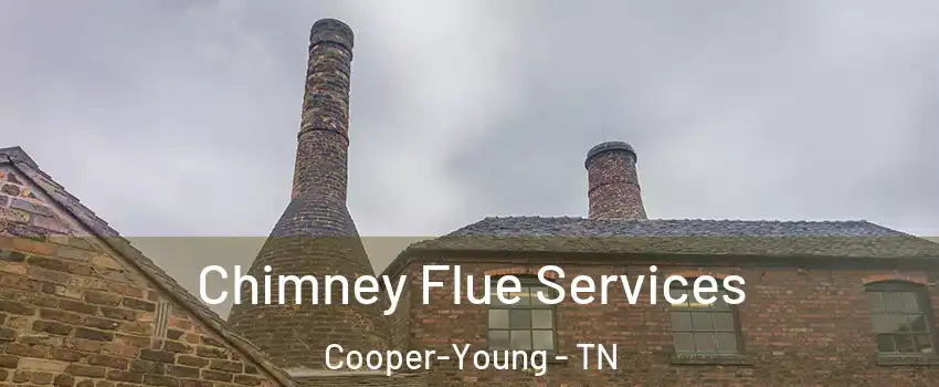 Chimney Flue Services Cooper-Young - TN