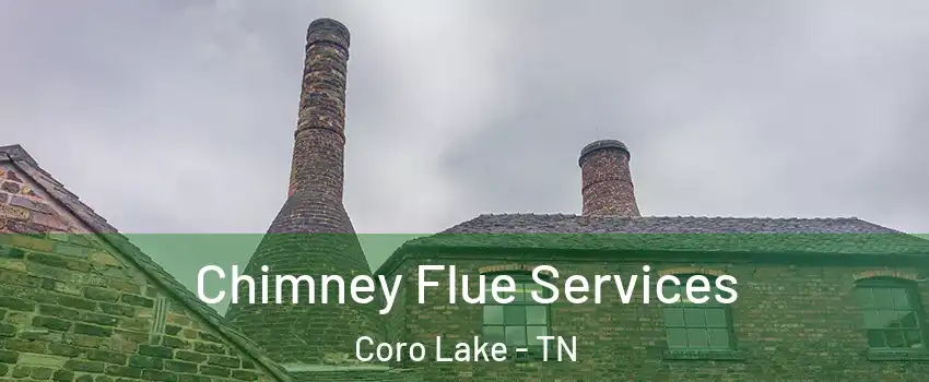 Chimney Flue Services Coro Lake - TN