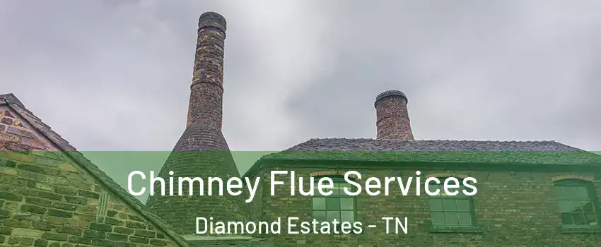 Chimney Flue Services Diamond Estates - TN