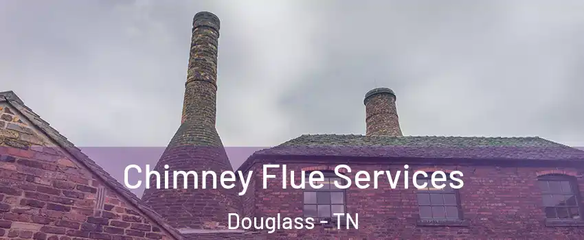 Chimney Flue Services Douglass - TN