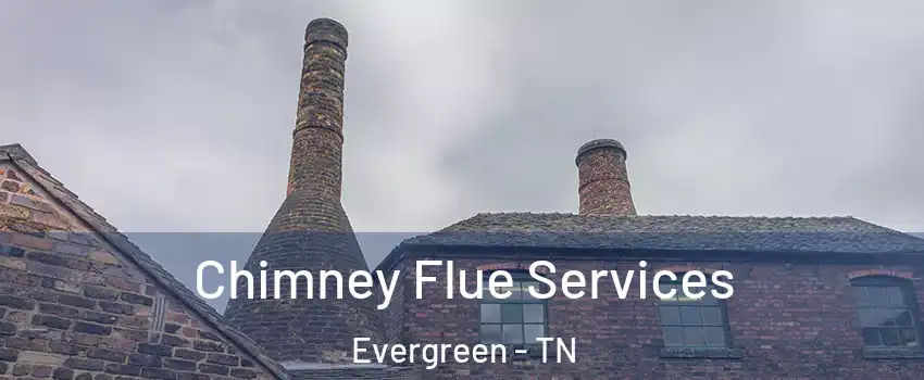 Chimney Flue Services Evergreen - TN