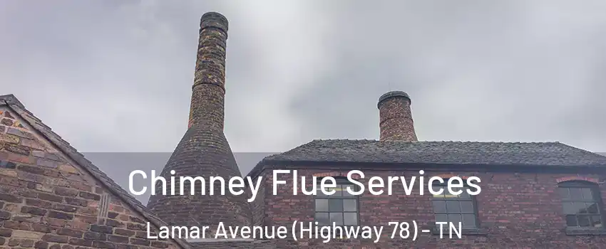 Chimney Flue Services Lamar Avenue (Highway 78) - TN