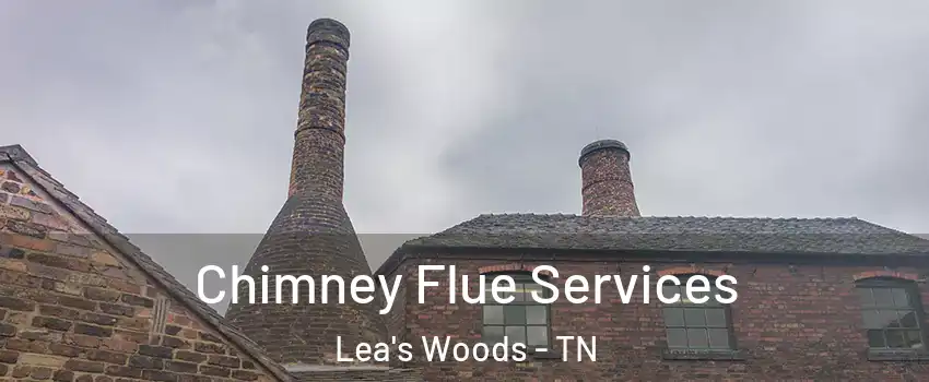 Chimney Flue Services Lea's Woods - TN