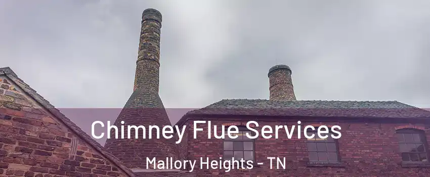 Chimney Flue Services Mallory Heights - TN