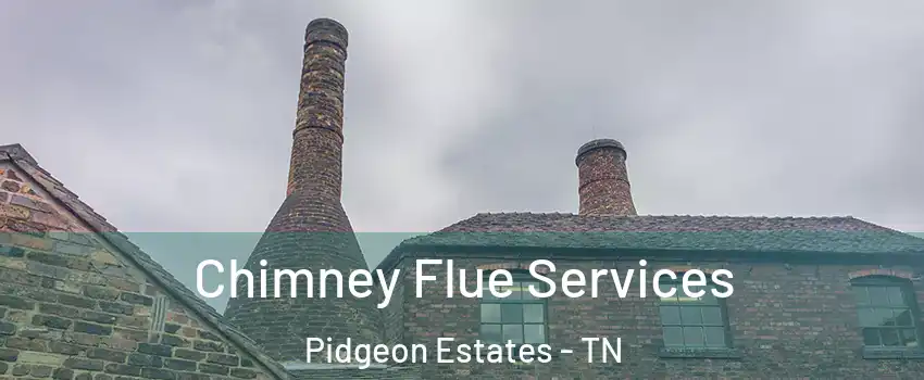 Chimney Flue Services Pidgeon Estates - TN