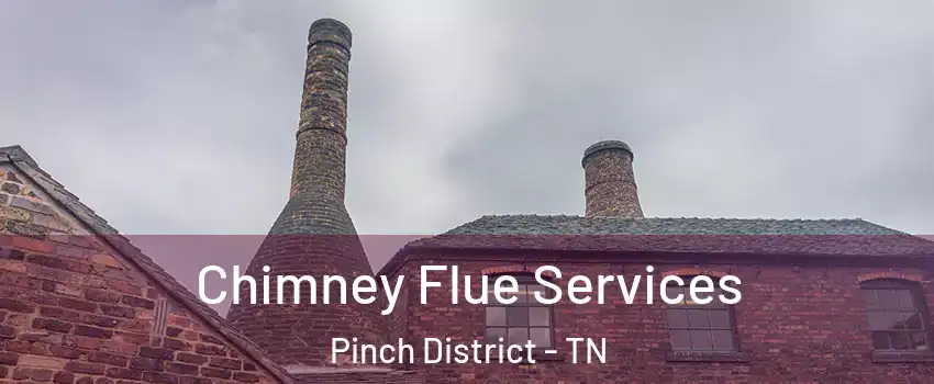 Chimney Flue Services Pinch District - TN