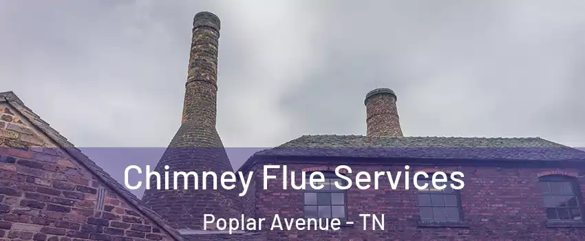 Chimney Flue Services Poplar Avenue - TN