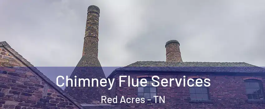 Chimney Flue Services Red Acres - TN