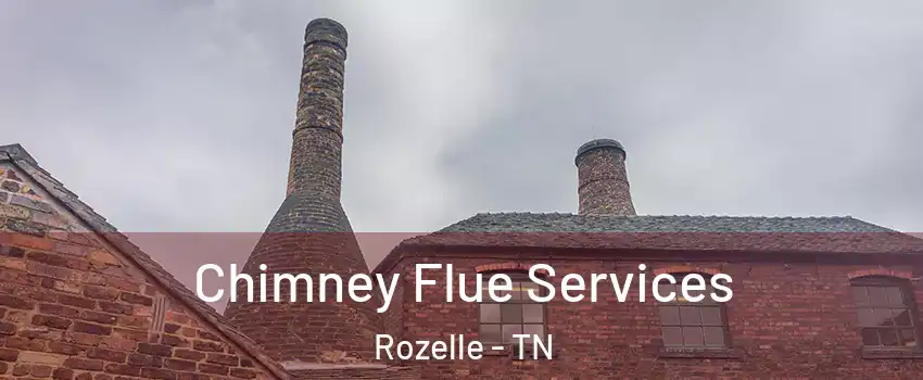 Chimney Flue Services Rozelle - TN