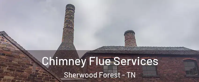 Chimney Flue Services Sherwood Forest - TN