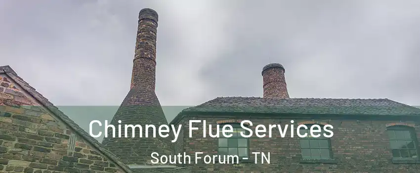 Chimney Flue Services South Forum - TN