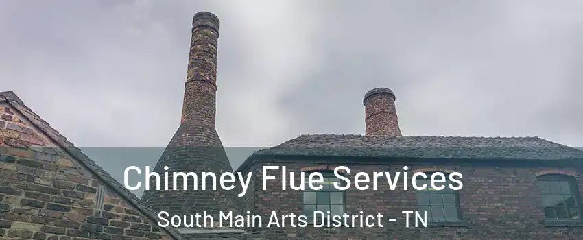 Chimney Flue Services South Main Arts District - TN