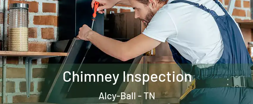 Chimney Inspection Alcy-Ball - TN