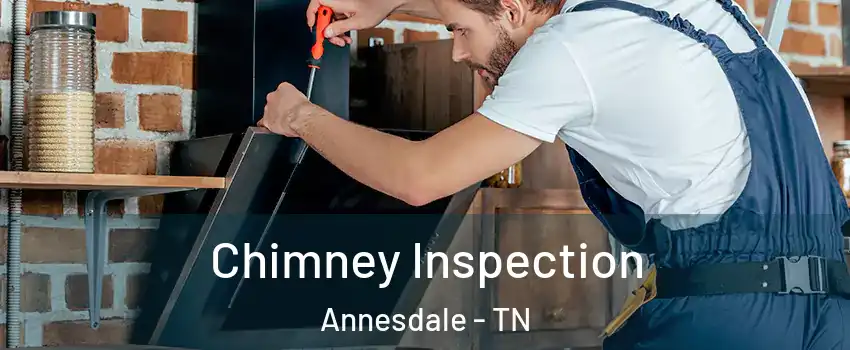 Chimney Inspection Annesdale - TN