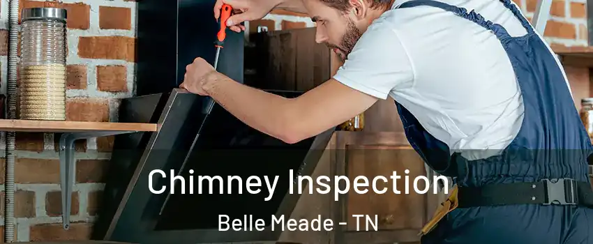 Chimney Inspection Belle Meade - TN