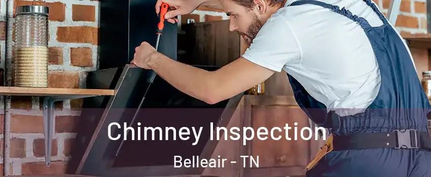 Chimney Inspection Belleair - TN