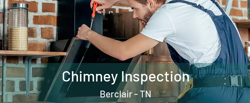 Chimney Inspection Berclair - TN