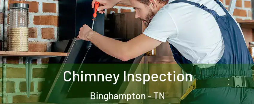 Chimney Inspection Binghampton - TN