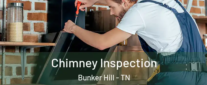 Chimney Inspection Bunker Hill - TN