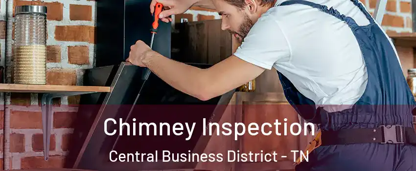 Chimney Inspection Central Business District - TN