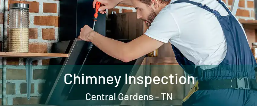 Chimney Inspection Central Gardens - TN