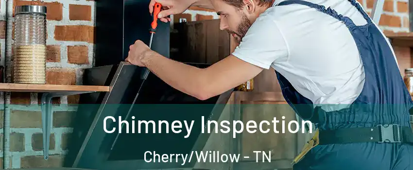 Chimney Inspection Cherry/Willow - TN