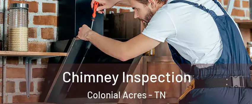 Chimney Inspection Colonial Acres - TN