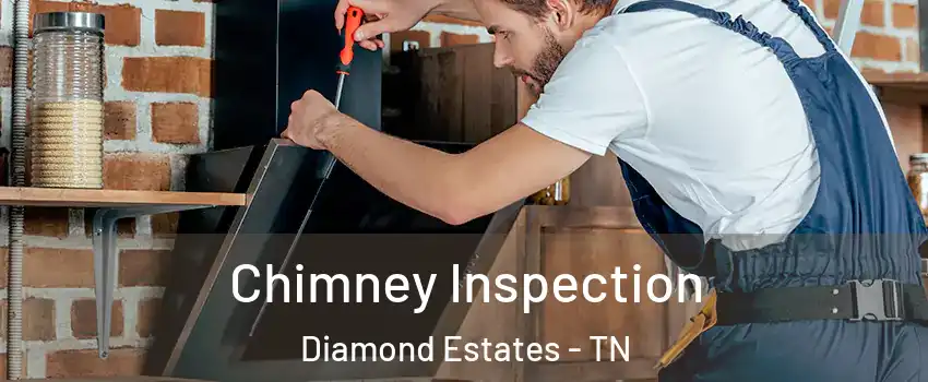 Chimney Inspection Diamond Estates - TN