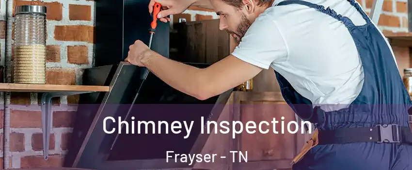 Chimney Inspection Frayser - TN