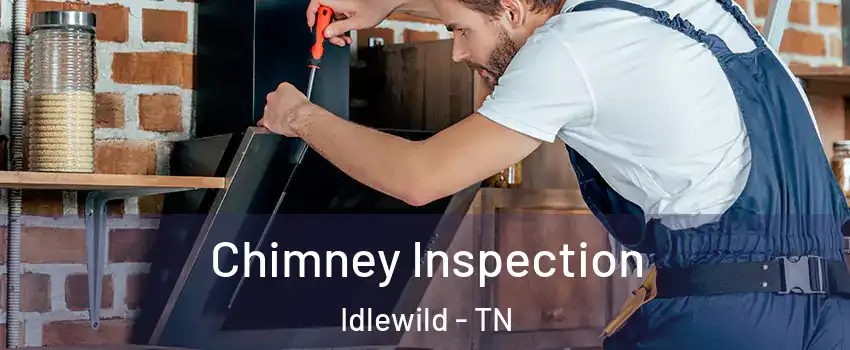 Chimney Inspection Idlewild - TN