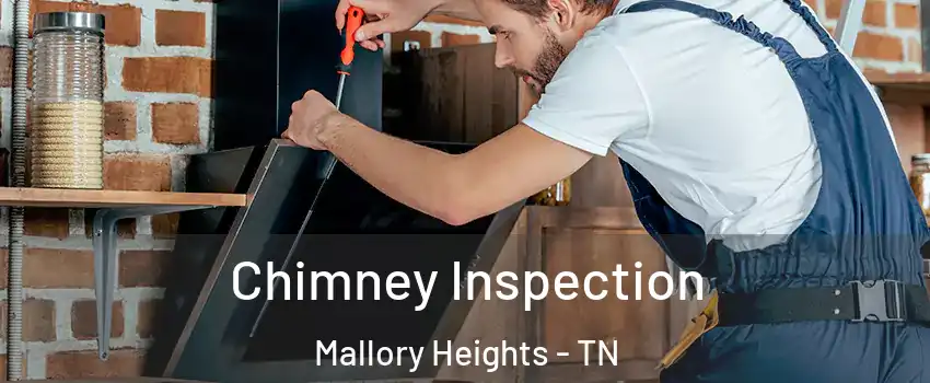 Chimney Inspection Mallory Heights - TN