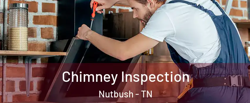 Chimney Inspection Nutbush - TN