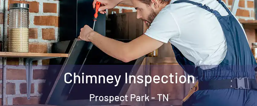 Chimney Inspection Prospect Park - TN