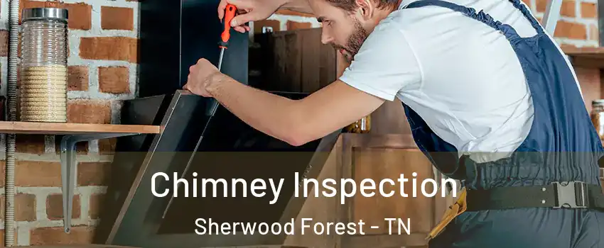 Chimney Inspection Sherwood Forest - TN