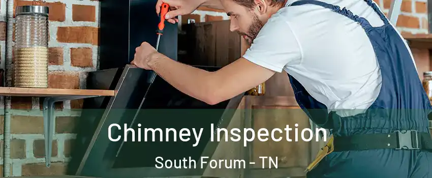 Chimney Inspection South Forum - TN