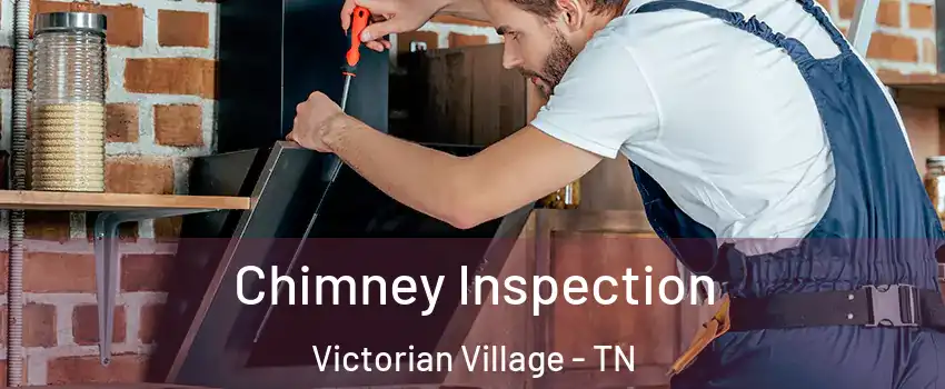 Chimney Inspection Victorian Village - TN